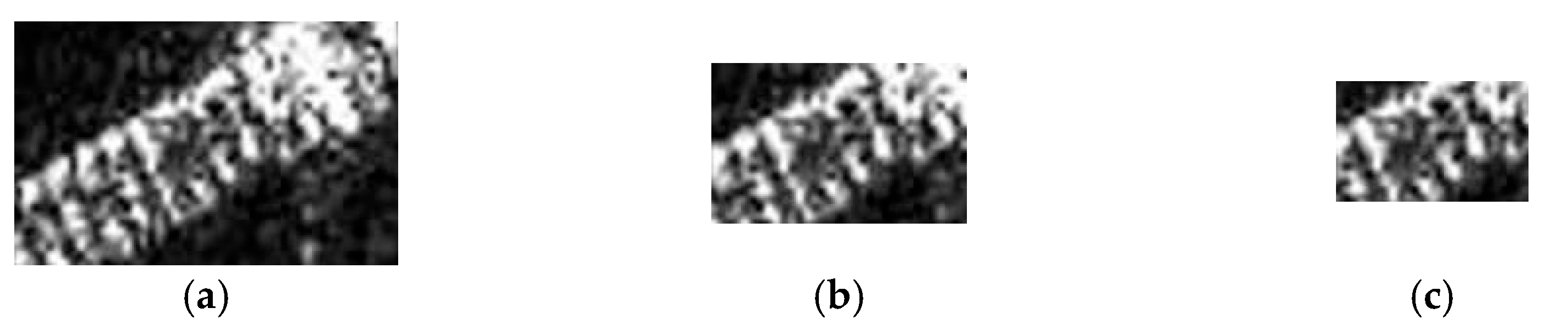 Remotesensing 17 02599 g022