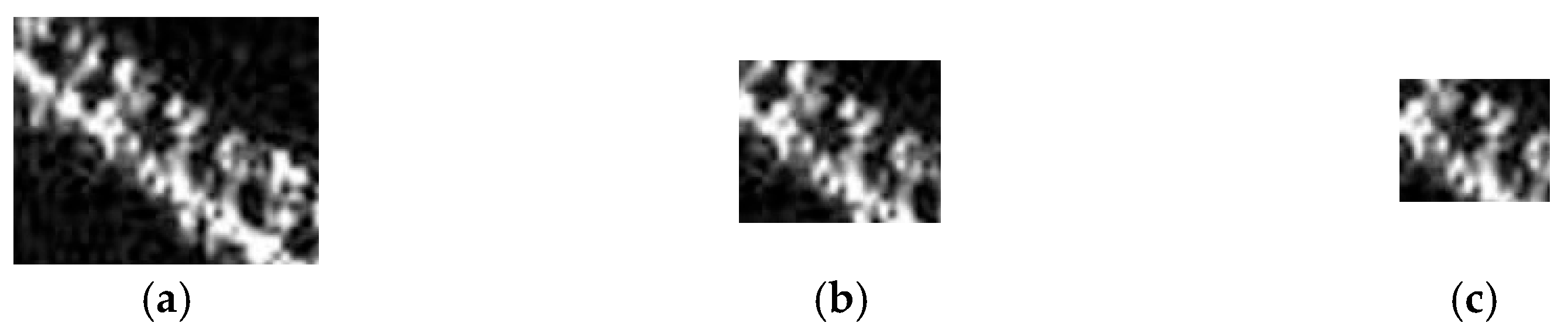 Remotesensing 17 02599 g023