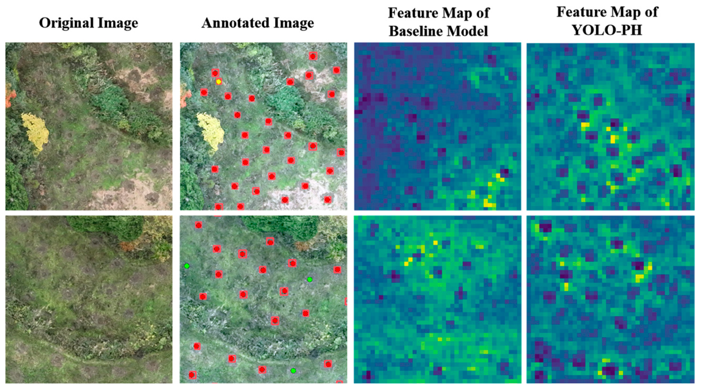 Remotesensing 17 02614 g011
