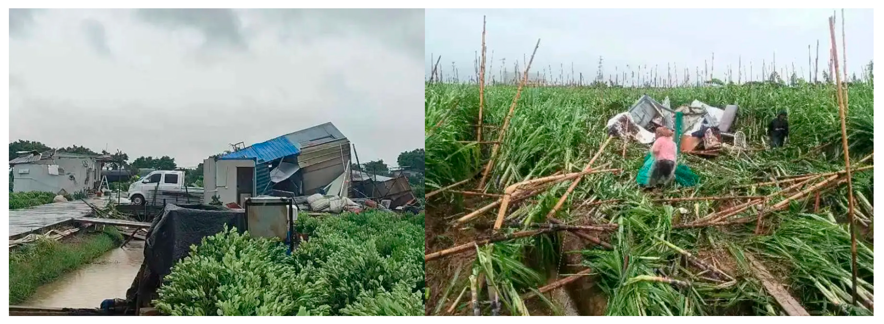 Remotesensing 17 02615 g004