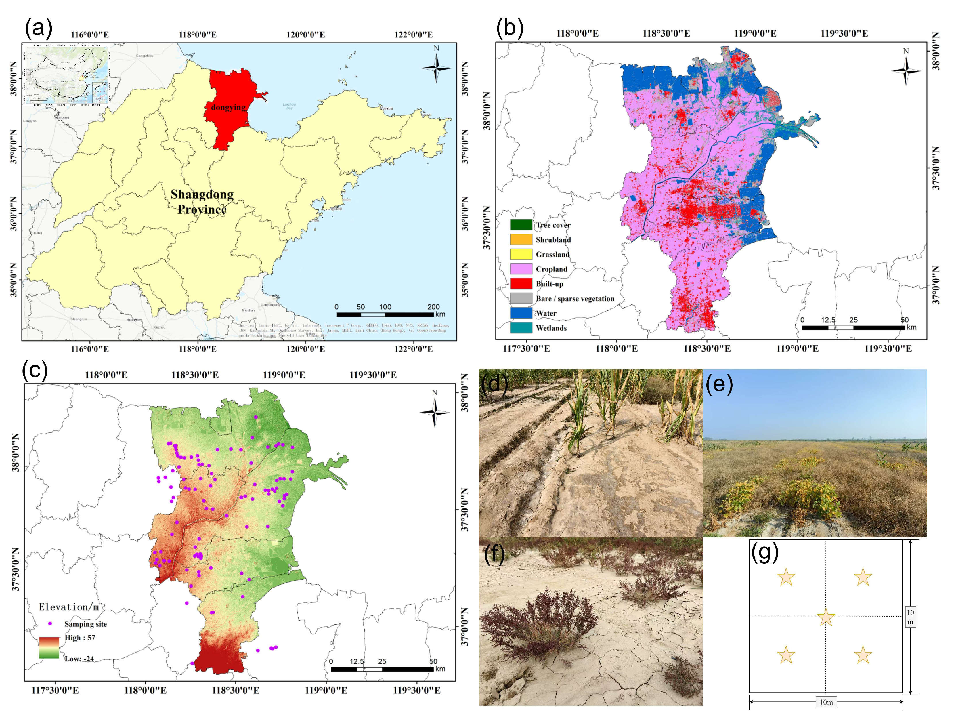 Remotesensing 17 02619 g001