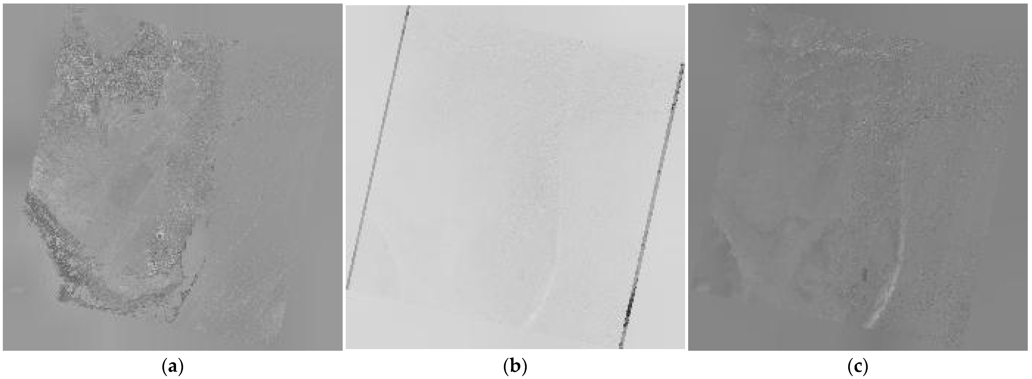 Remotesensing 17 02632 g005a