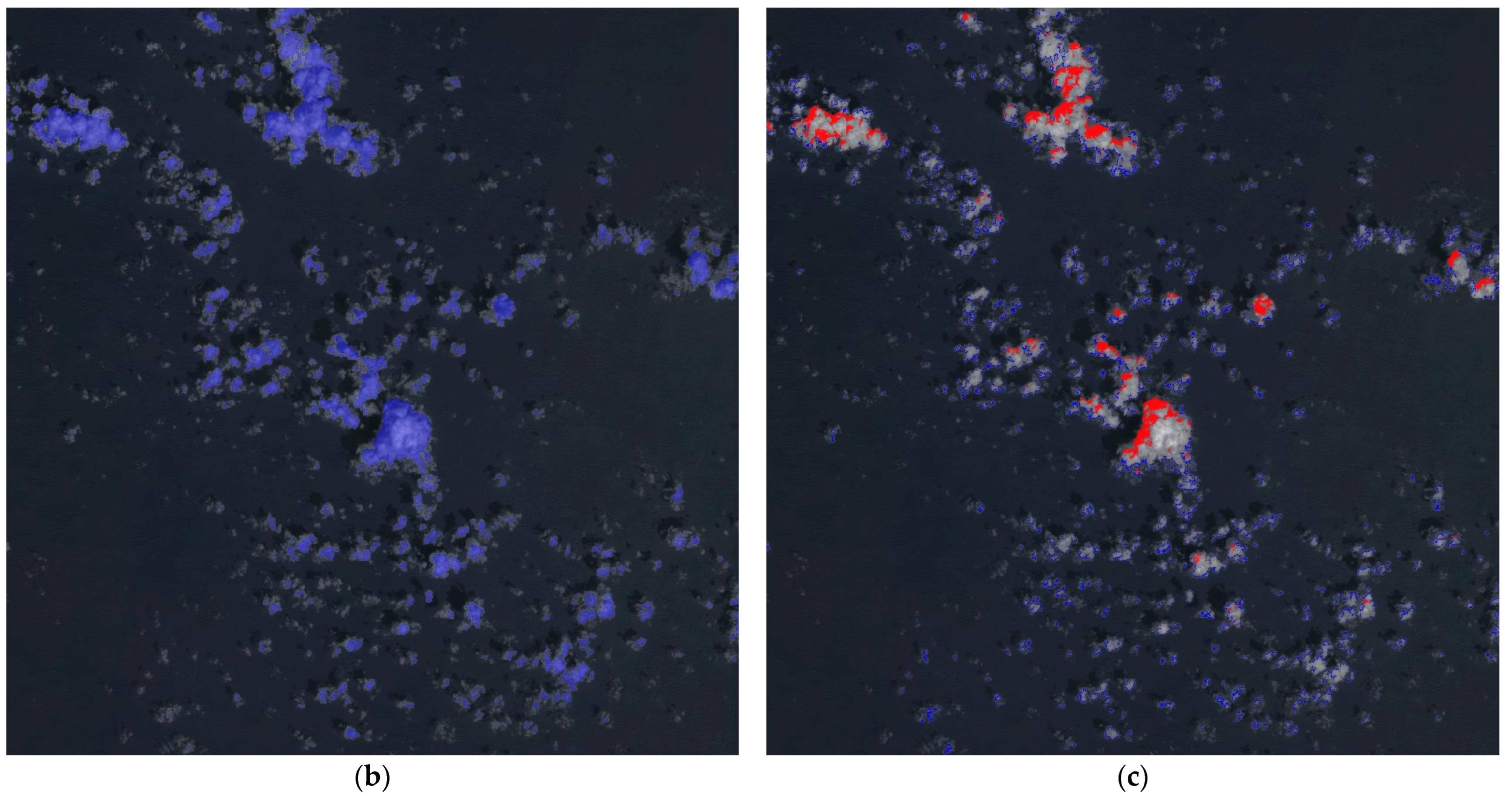 Remotesensing 17 02632 g021b