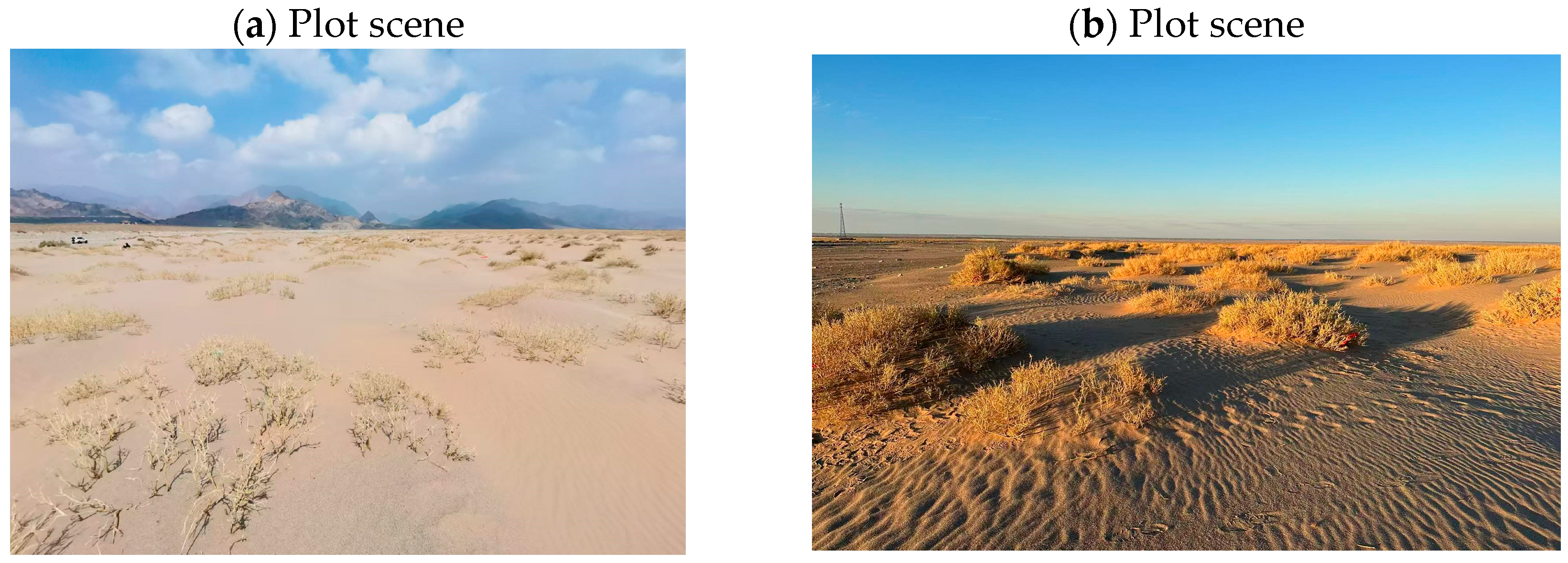 Remotesensing 17 02665 g002a