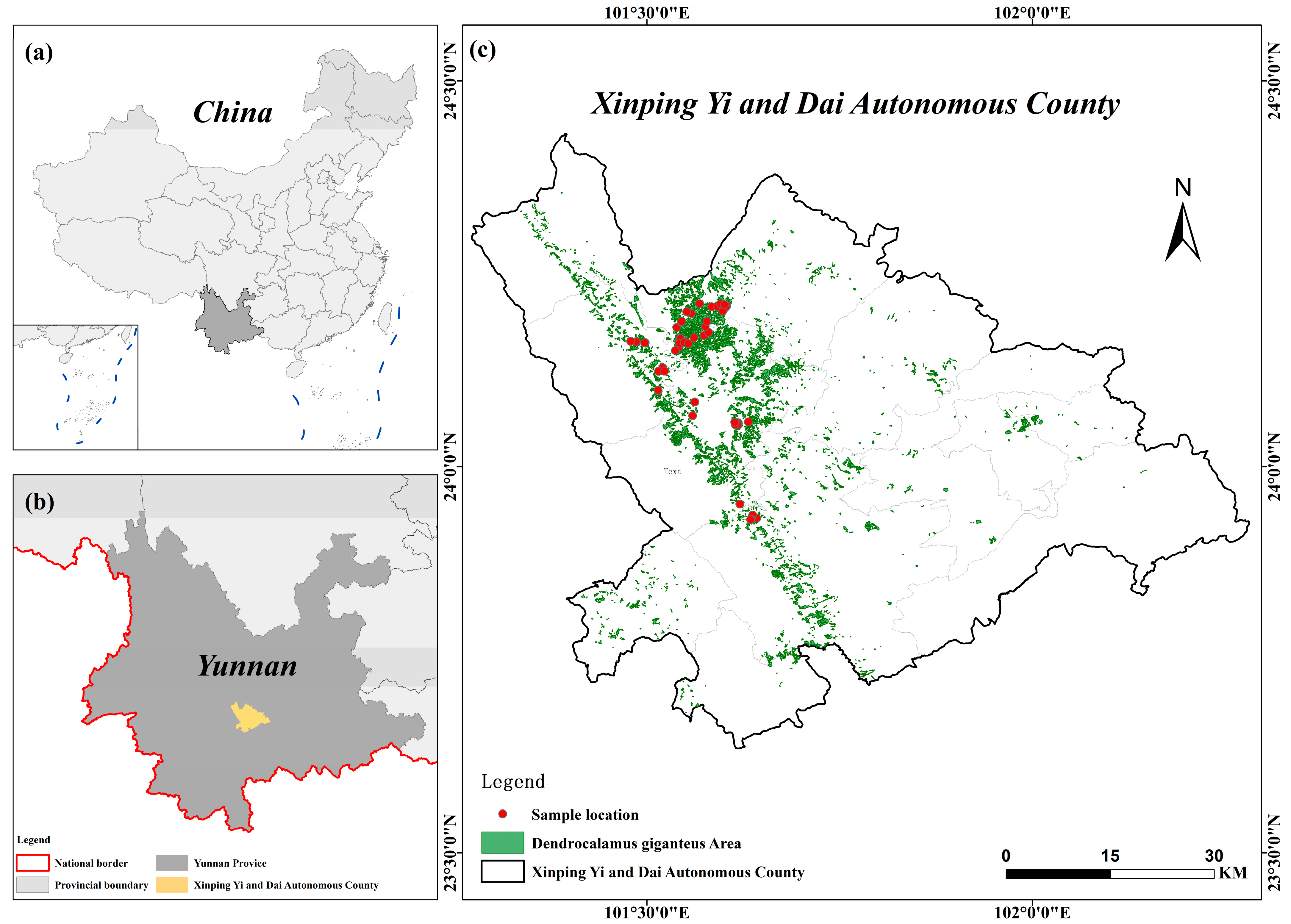 Remotesensing 17 02682 g001