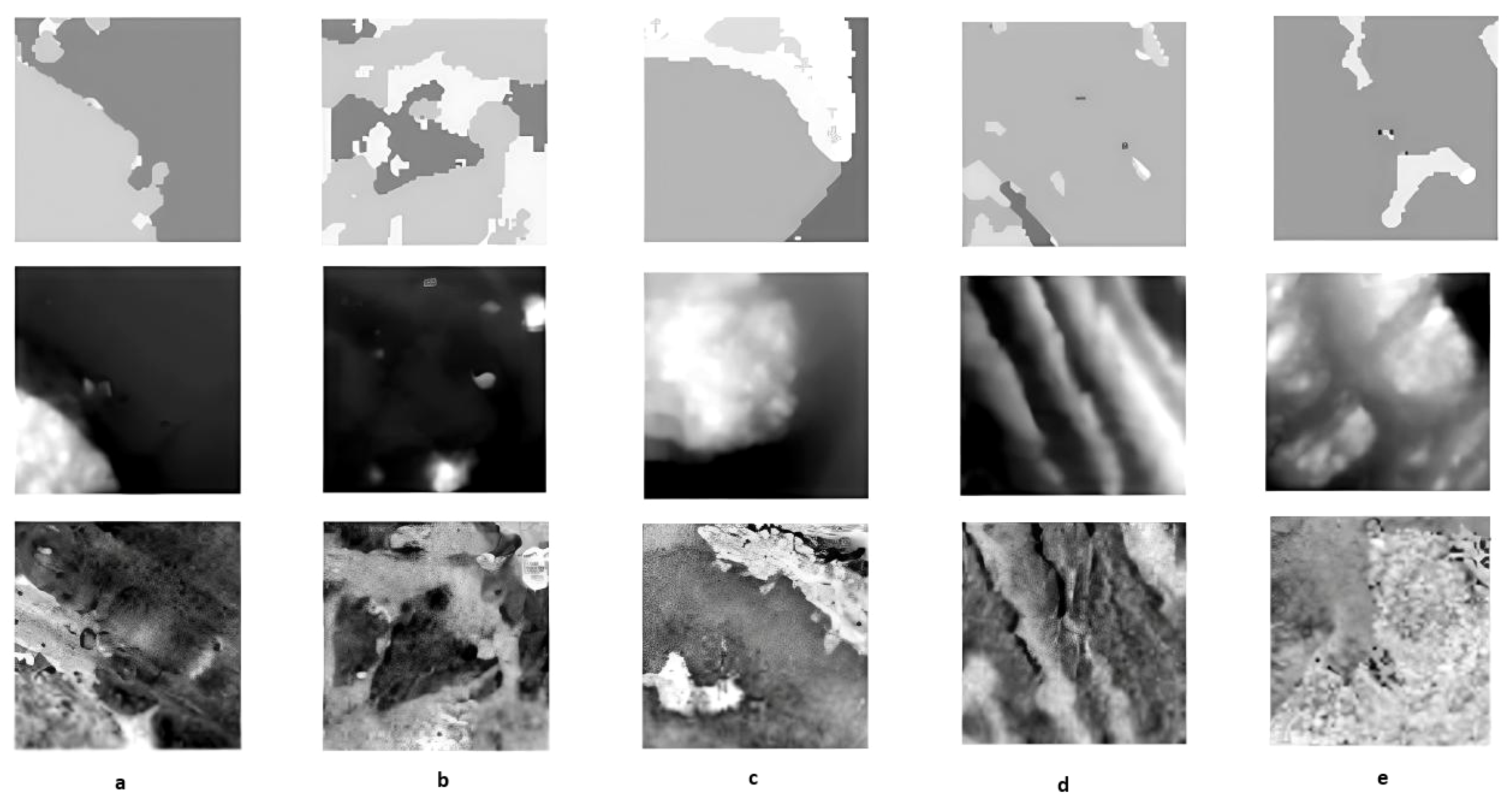 Remotesensing 17 02686 g002