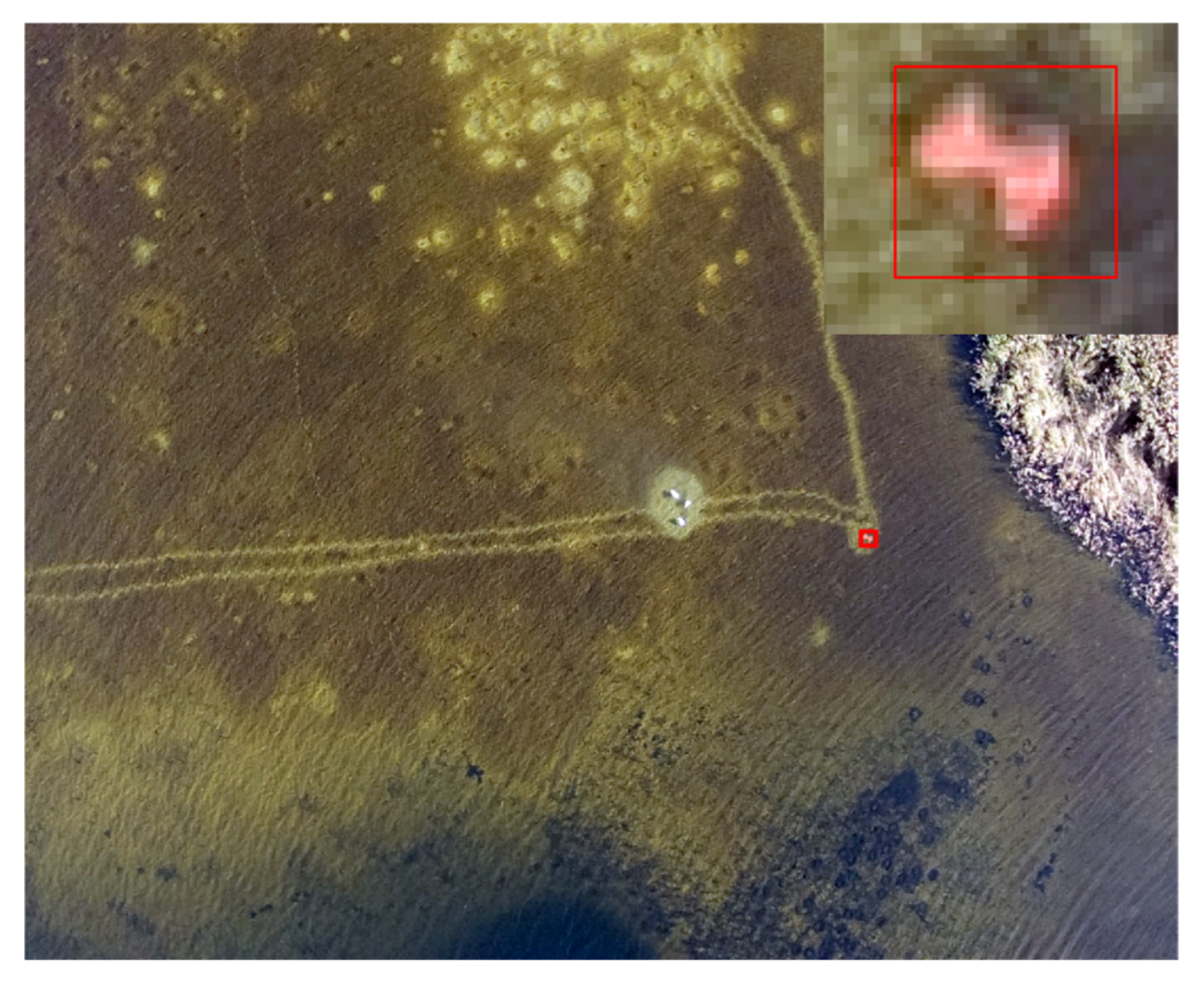 Remotesensing 17 02707 g007 Remotesensing 17 02707 g007