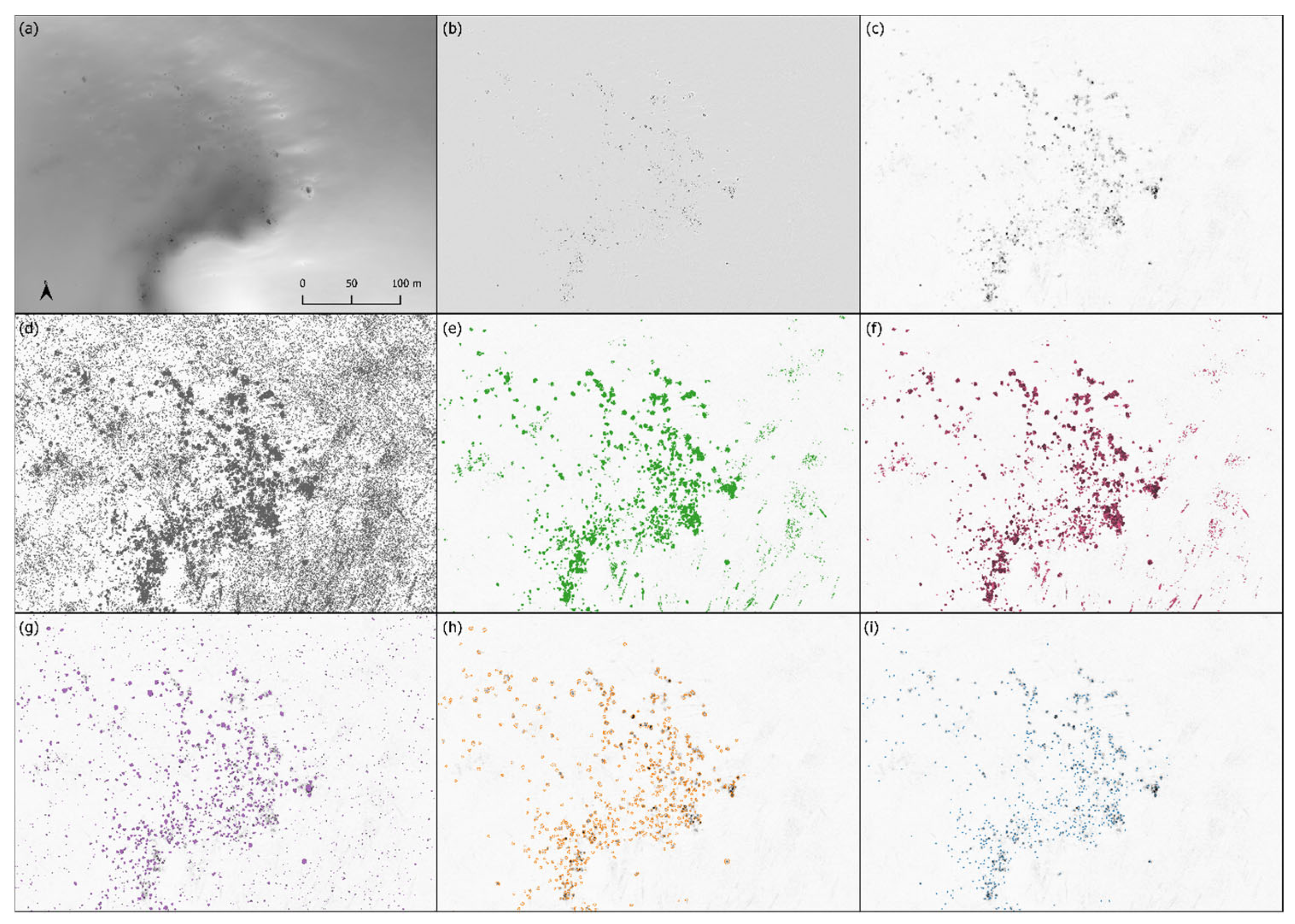 Remotesensing 17 02711 g003 Remotesensing 17 02711 g003