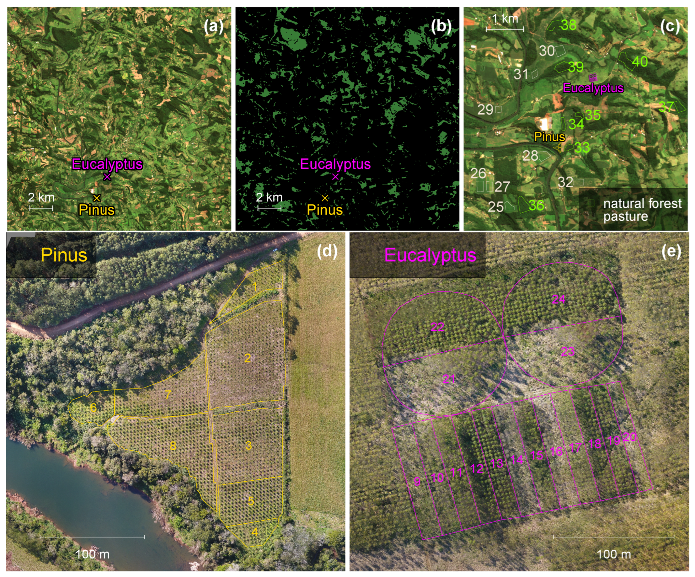 Remotesensing 17 02718 g001 Remotesensing 17 02718 g001