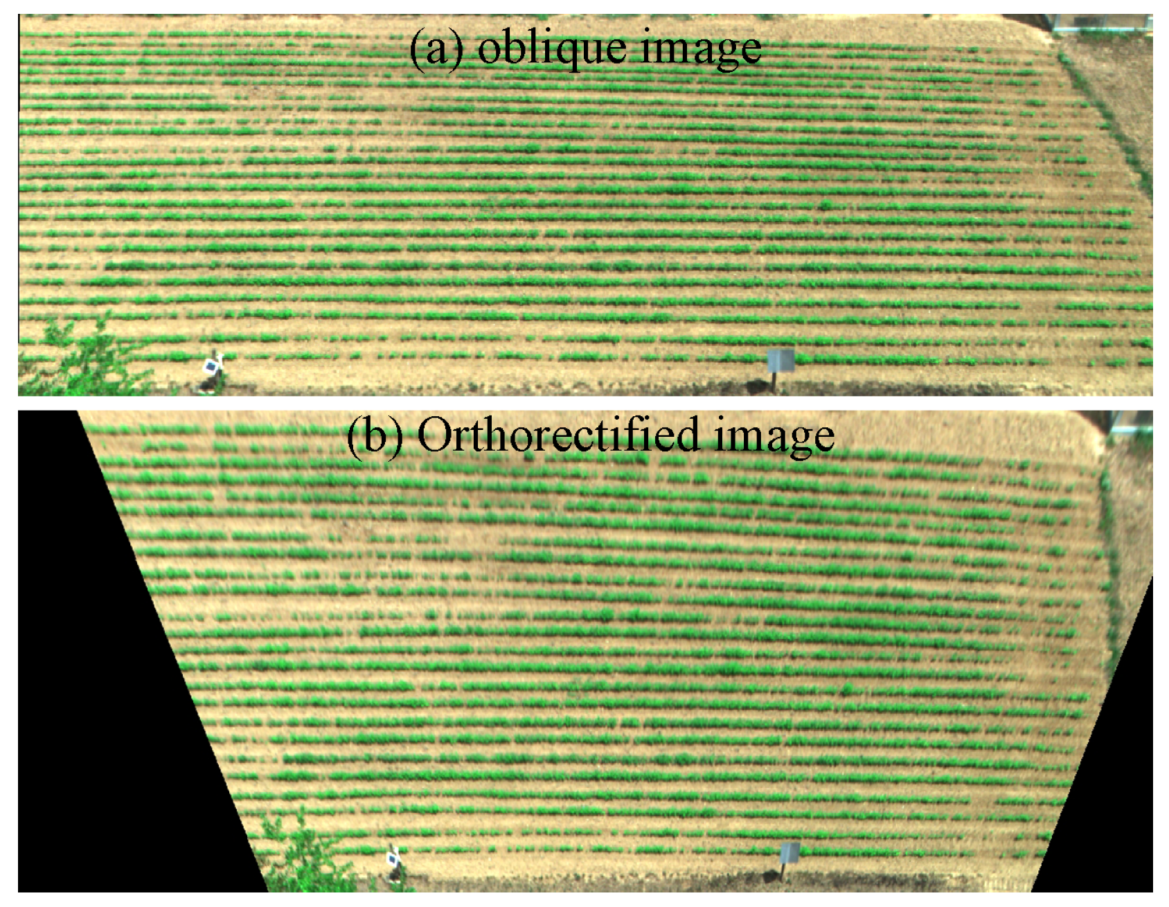 Remotesensing 17 02736 g003 Remotesensing 17 02736 g003