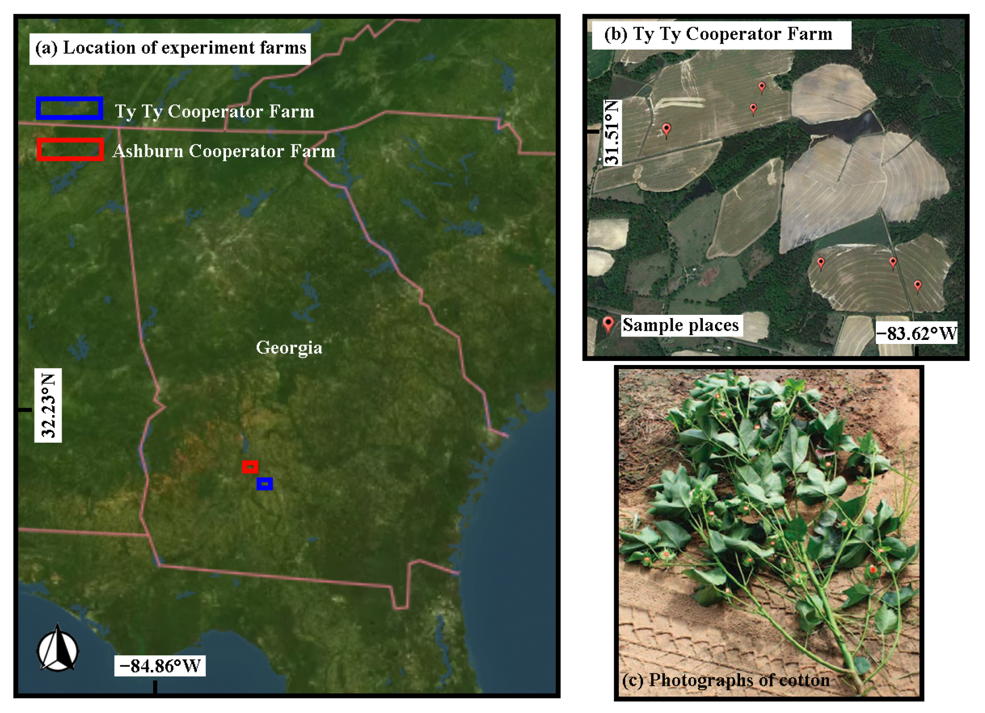 Remotesensing 17 02736 g004 Remotesensing 17 02736 g004