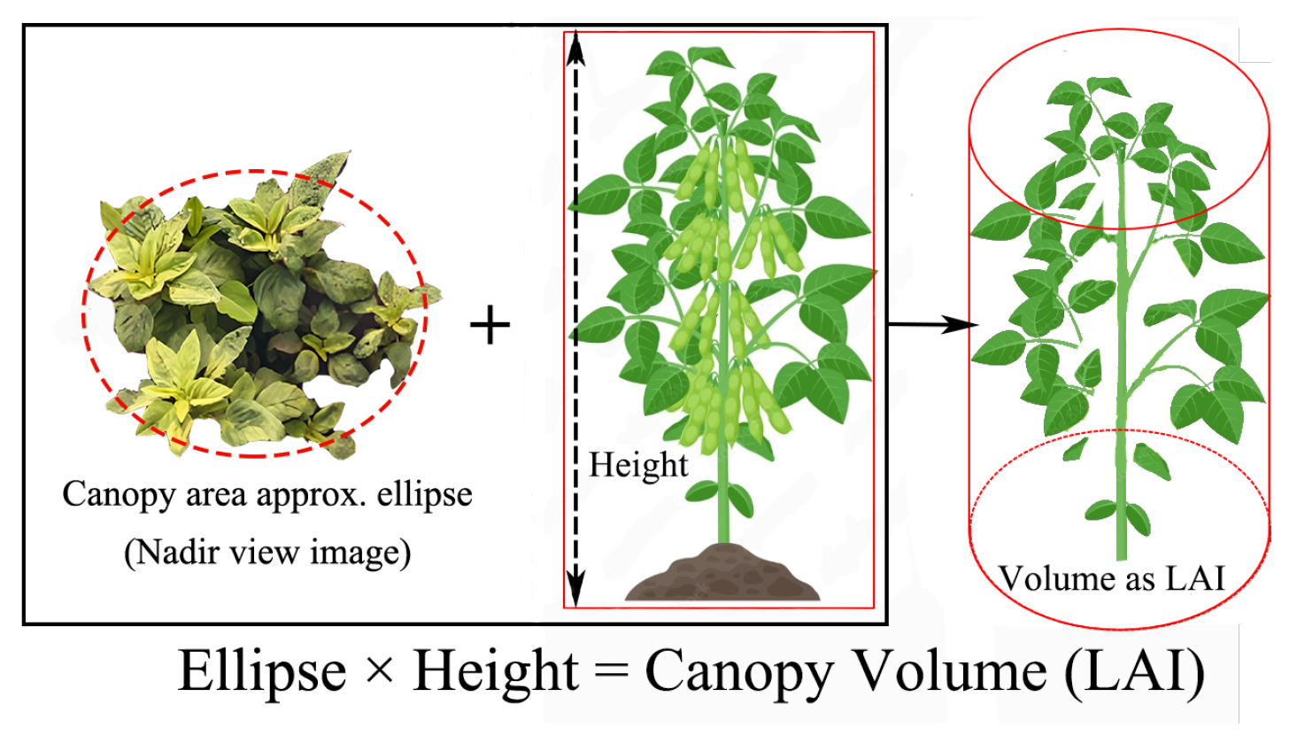 Remotesensing 17 02736 g006 Remotesensing 17 02736 g006