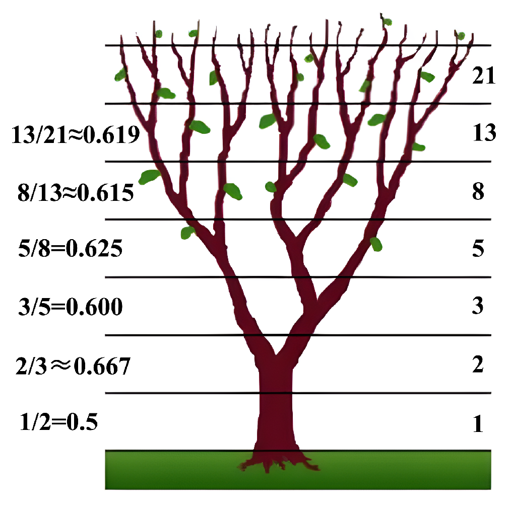 Remotesensing 17 02736 g007 Remotesensing 17 02736 g007