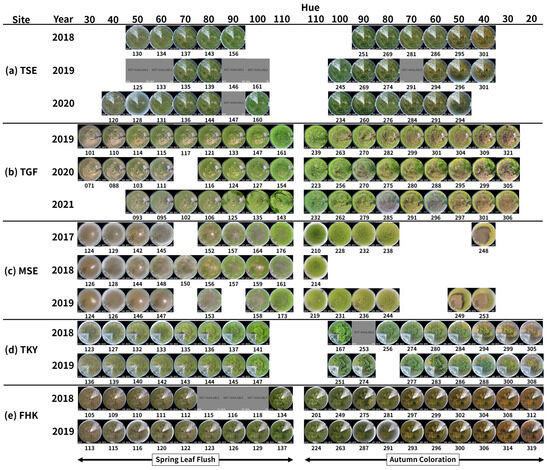 Assessment of the Applicability of Hue from In Situ Spectral