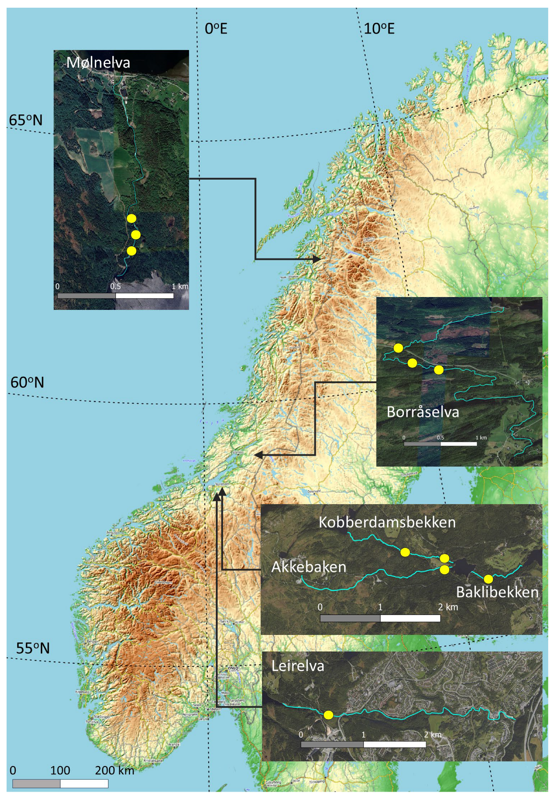 Remotesensing 17 02775 g002
