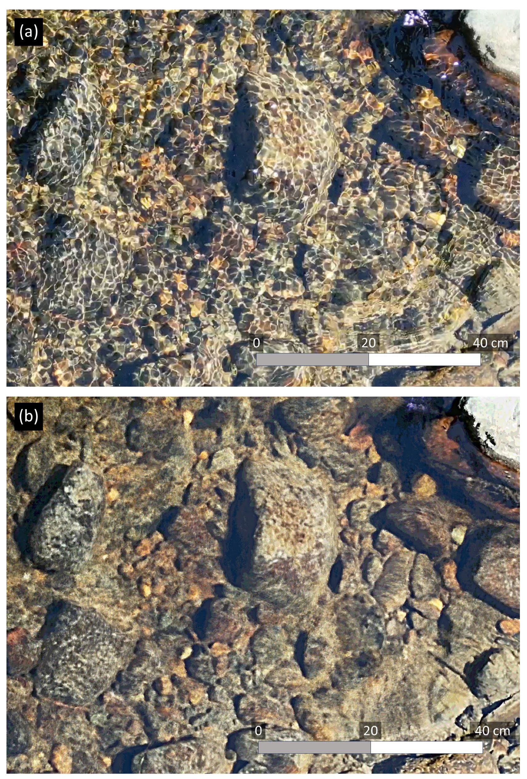 Remotesensing 17 02775 g006