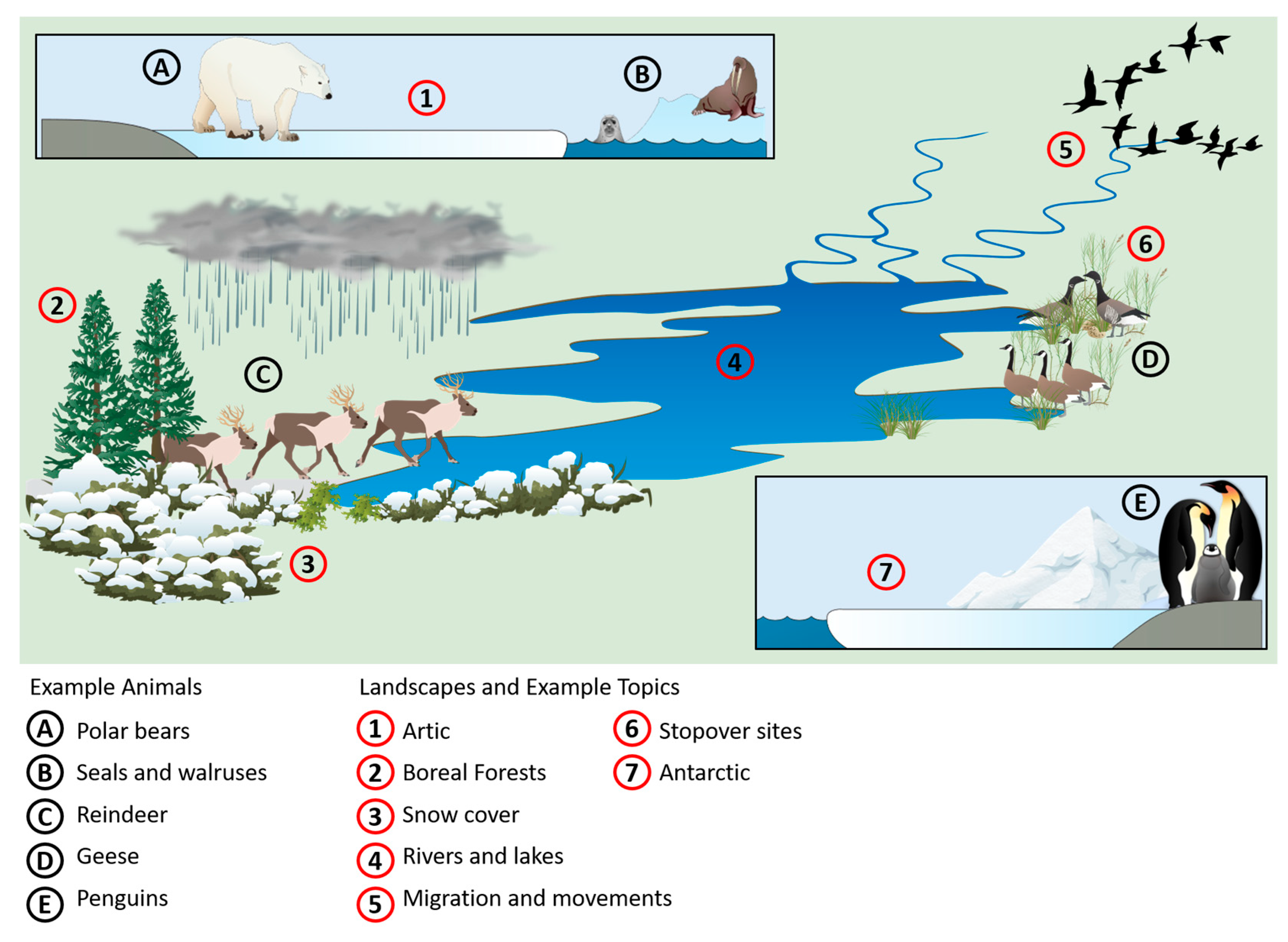 Remotesensing 17 02780 g001 Remotesensing 17 02780 g001