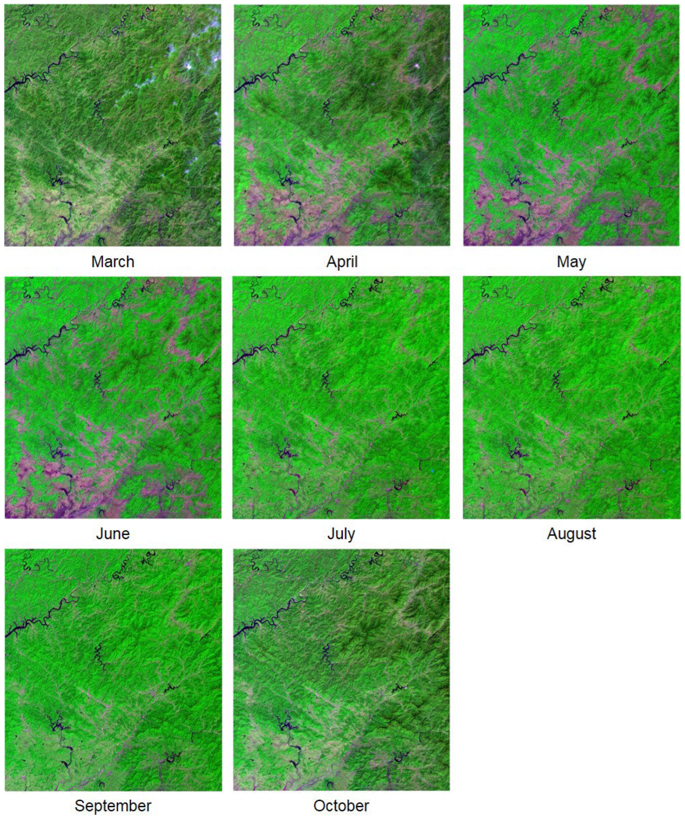 Remotesensing 17 02789 g005