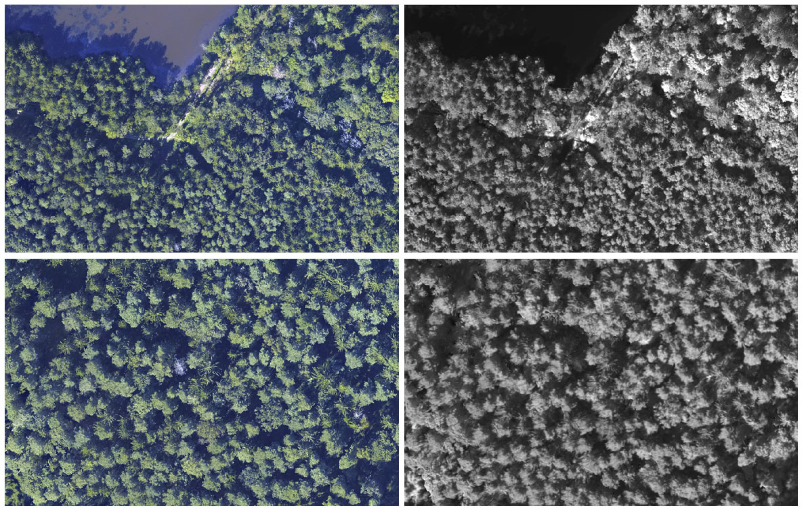 Remotesensing 17 02847 g002