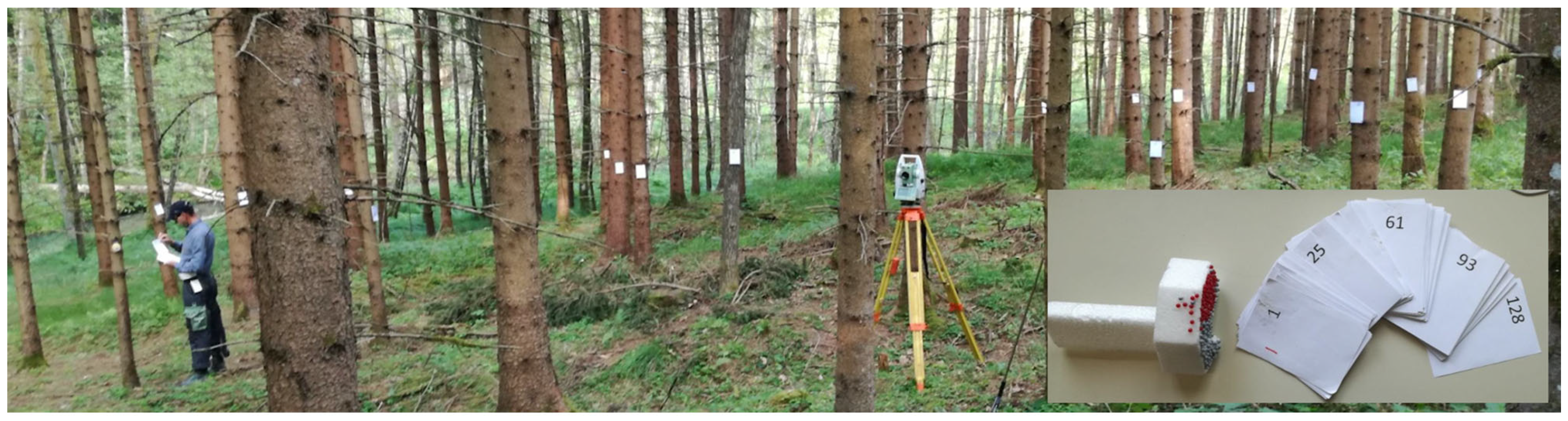 Remotesensing 17 02847 g004