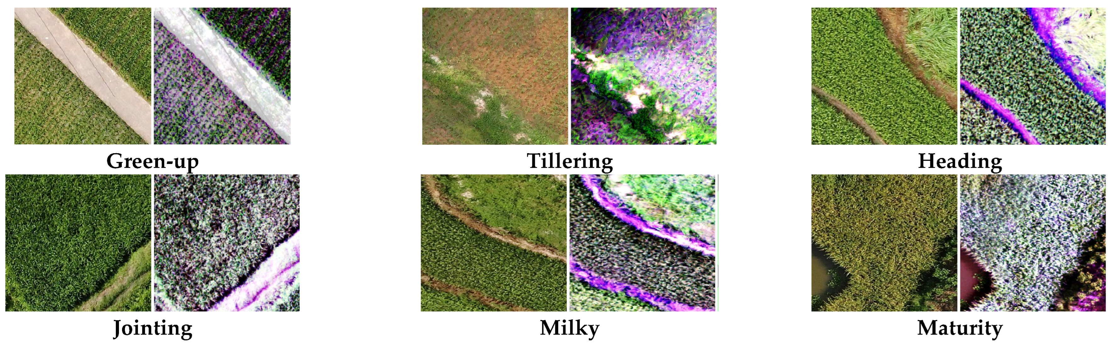 Remotesensing 17 02858 g002