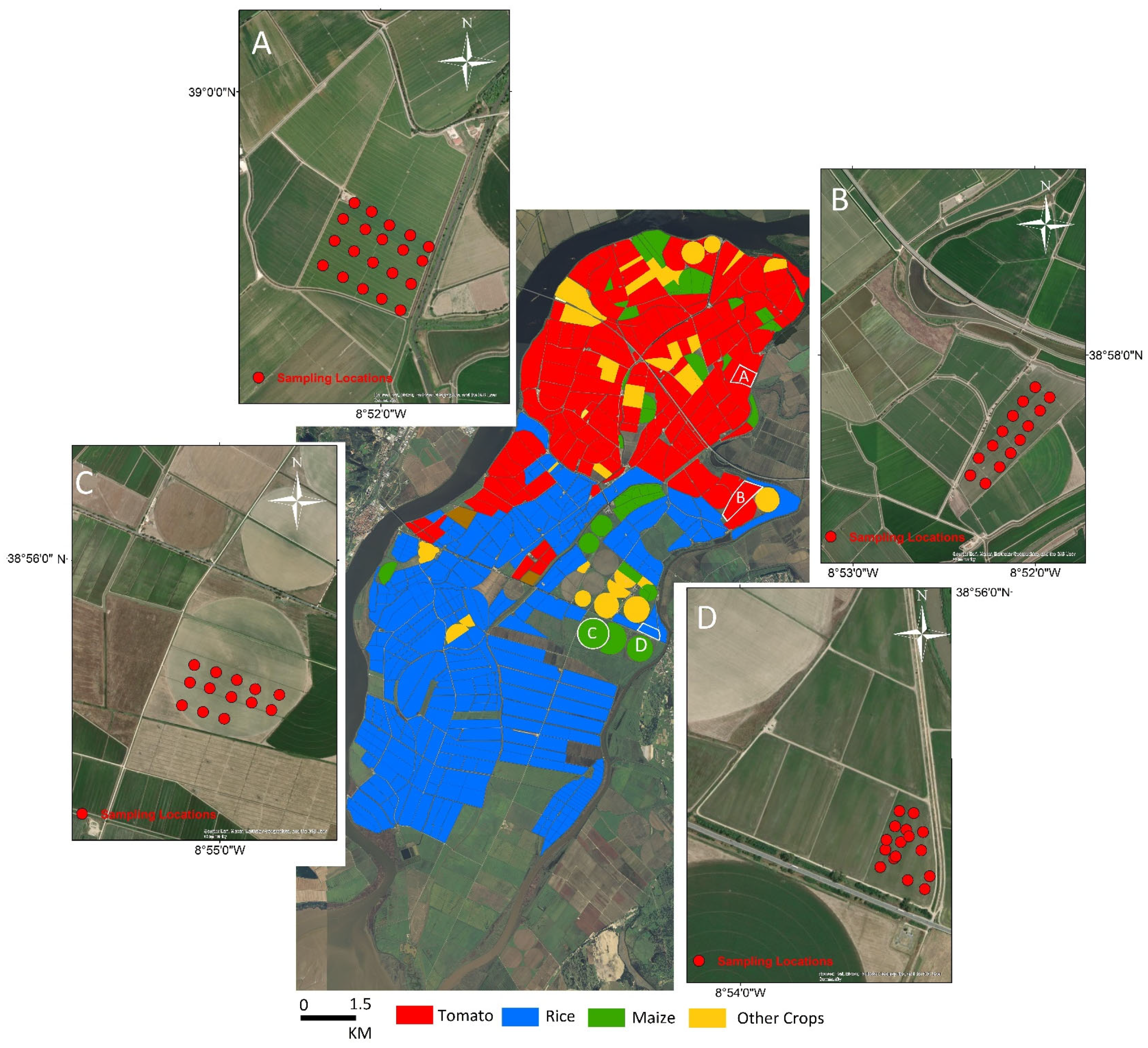 Remotesensing 17 02877 g002 Remotesensing 17 02877 g002