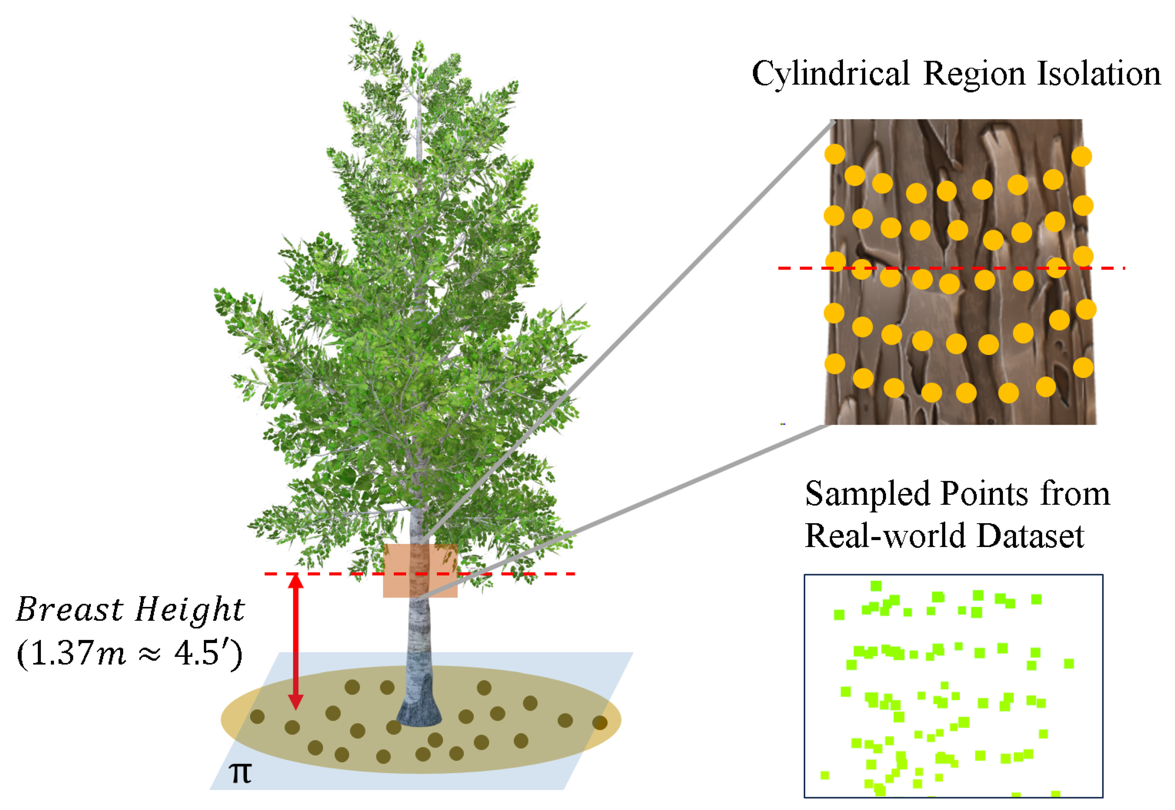 Remotesensing 17 02880 g006 Remotesensing 17 02880 g006
