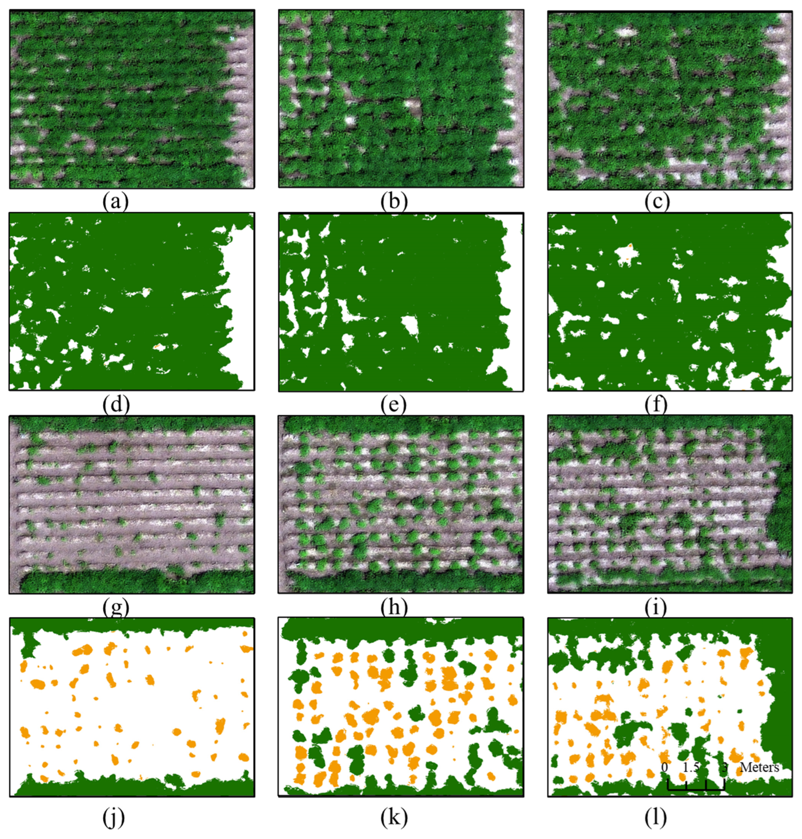 Remotesensing 17 02882 g007