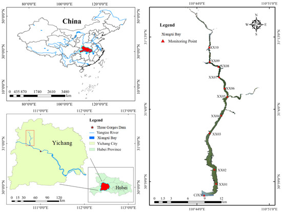 Remote Sensing Assessment of Trophic State in Reservoir