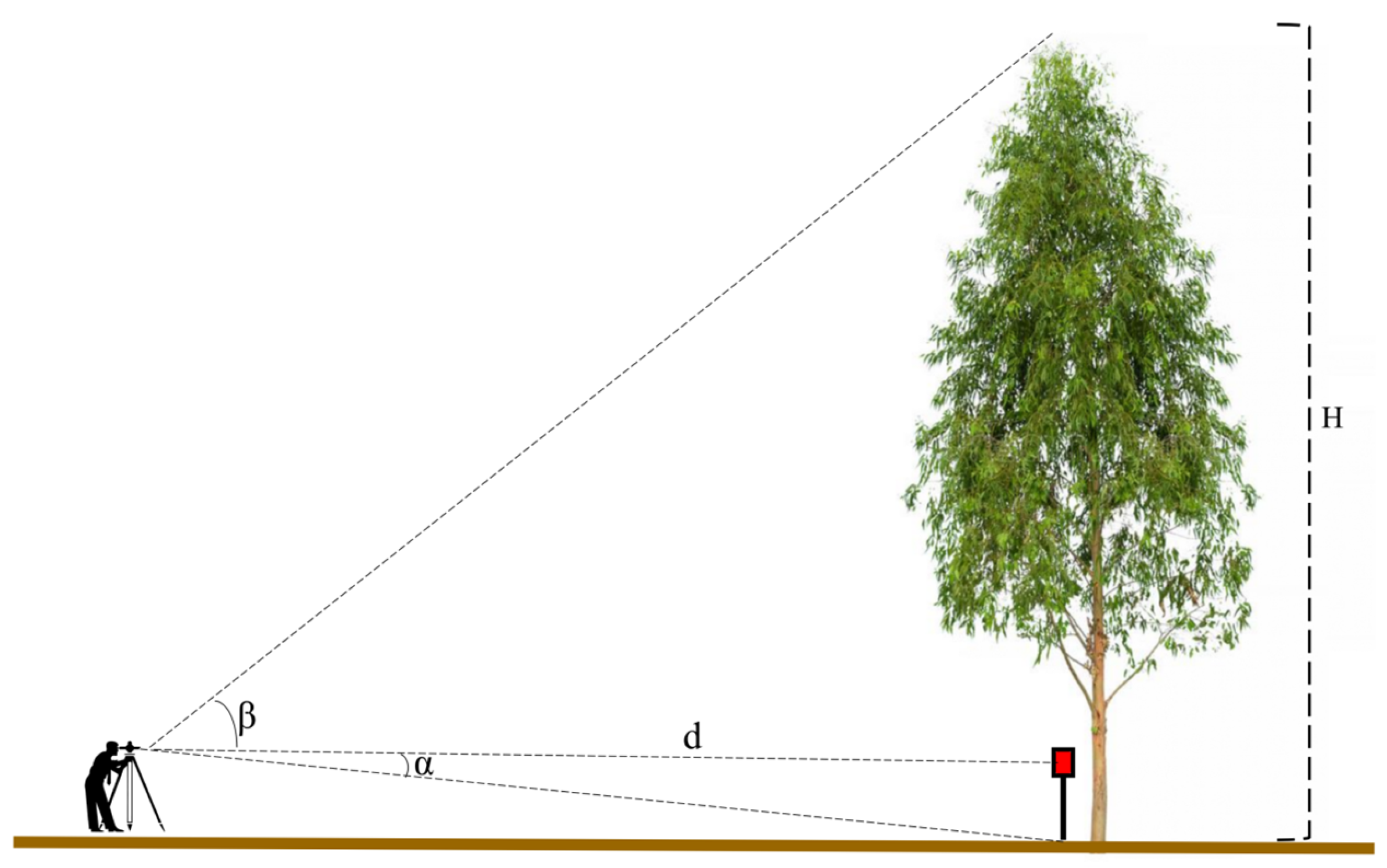 Remotesensing 17 02904 g002 Remotesensing 17 02904 g002