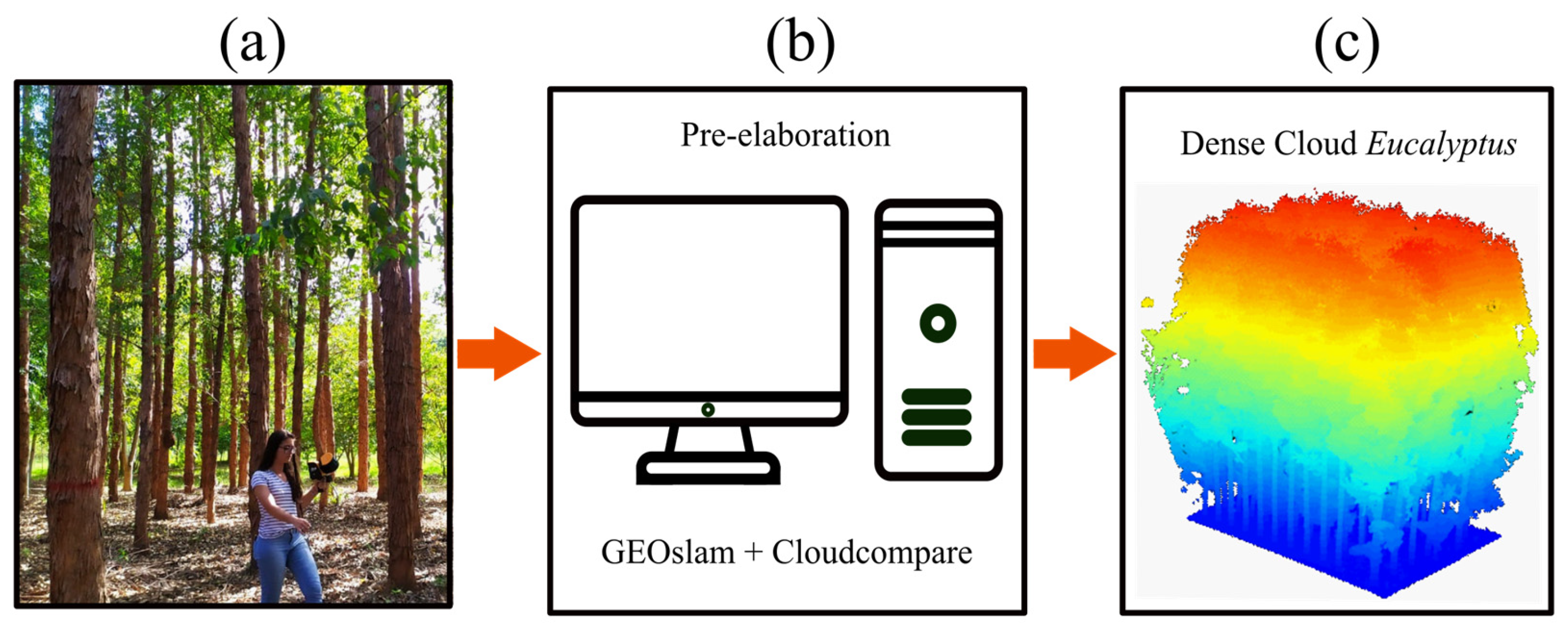 Remotesensing 17 02904 g004 Remotesensing 17 02904 g004