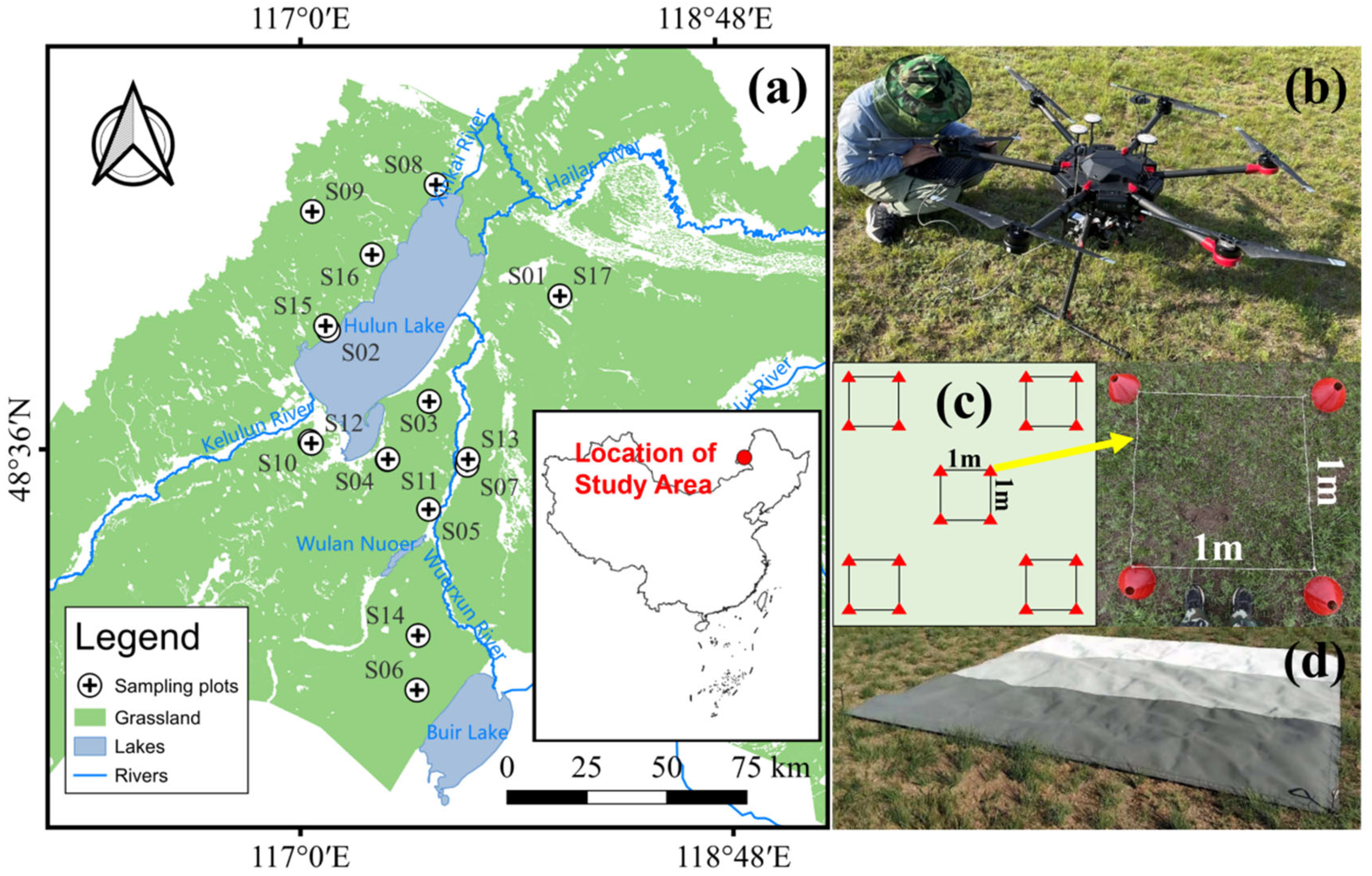 Remotesensing 17 02914 g001 Remotesensing 17 02914 g001
