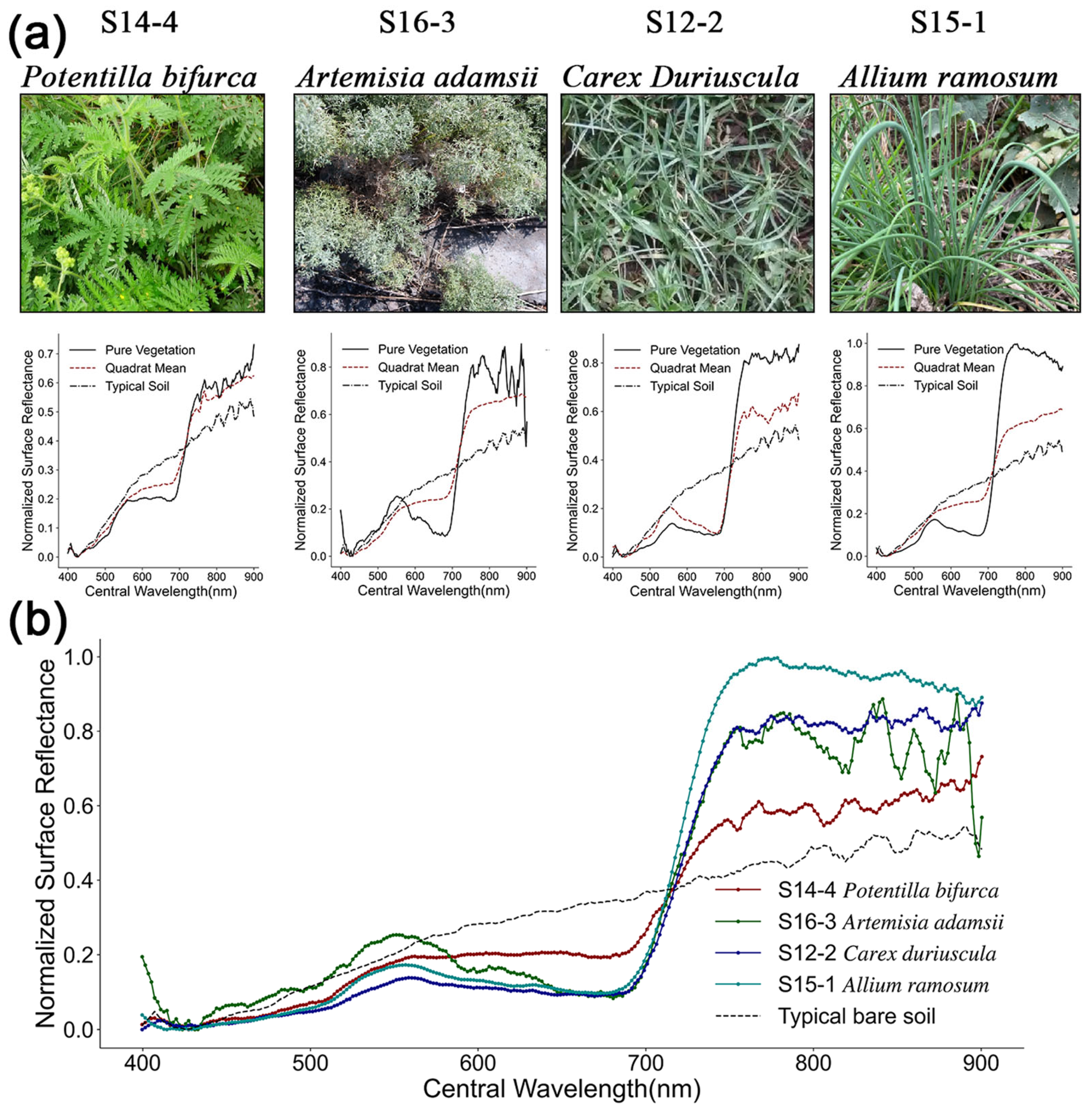 Remotesensing 17 02914 g007 Remotesensing 17 02914 g007