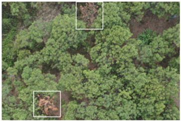Remotesensing 17 02953 i035 Remotesensing 17 02953 i035