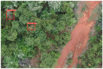 Remotesensing 17 02953 i042 Remotesensing 17 02953 i042