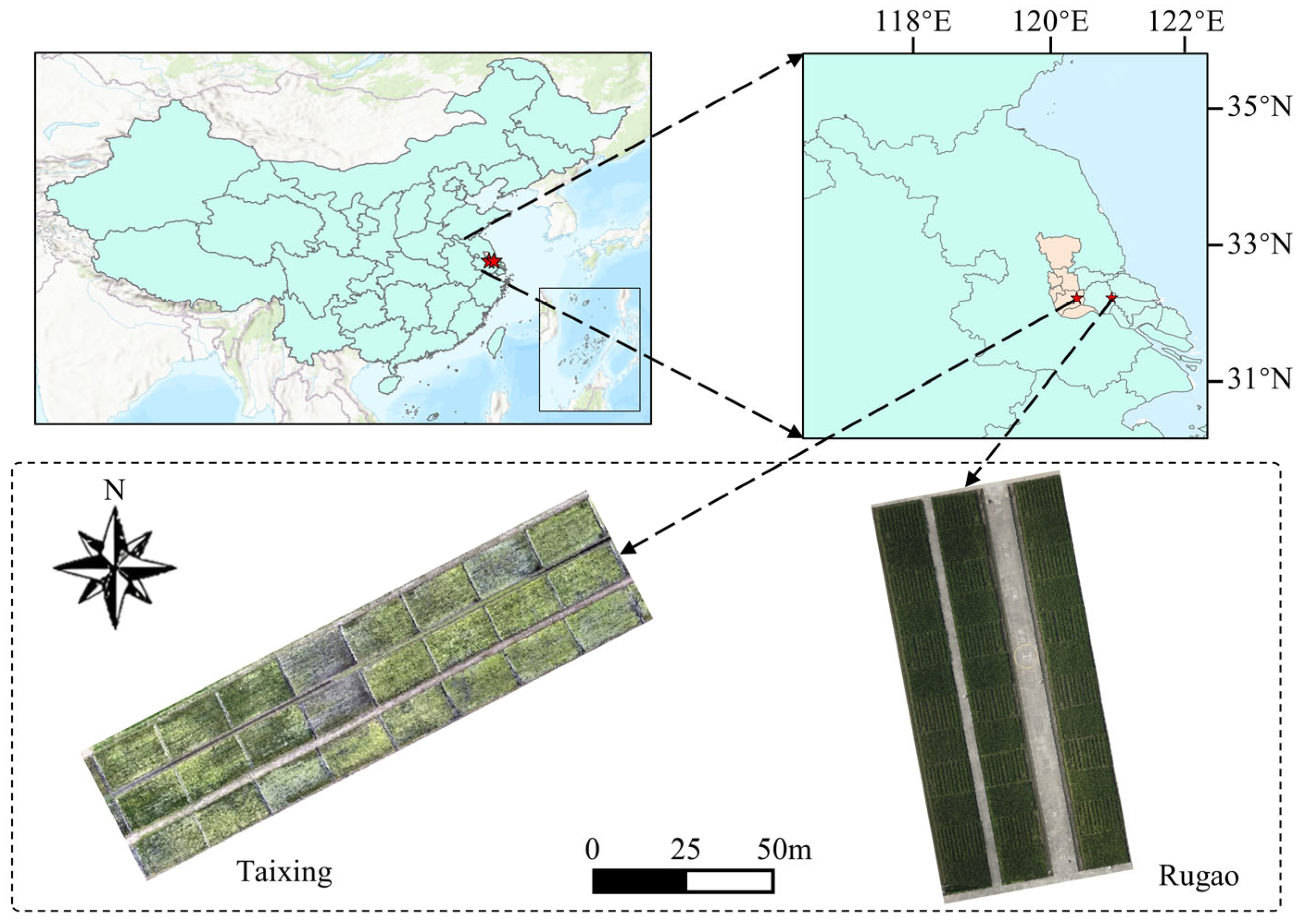 Remotesensing 17 03069 g002