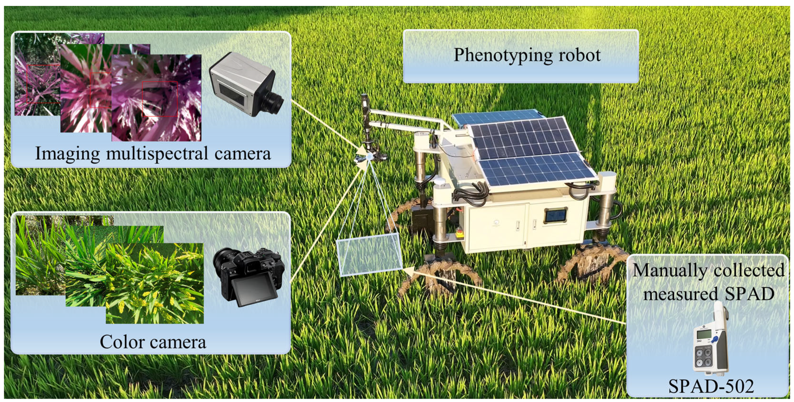 Remotesensing 17 03069 g003