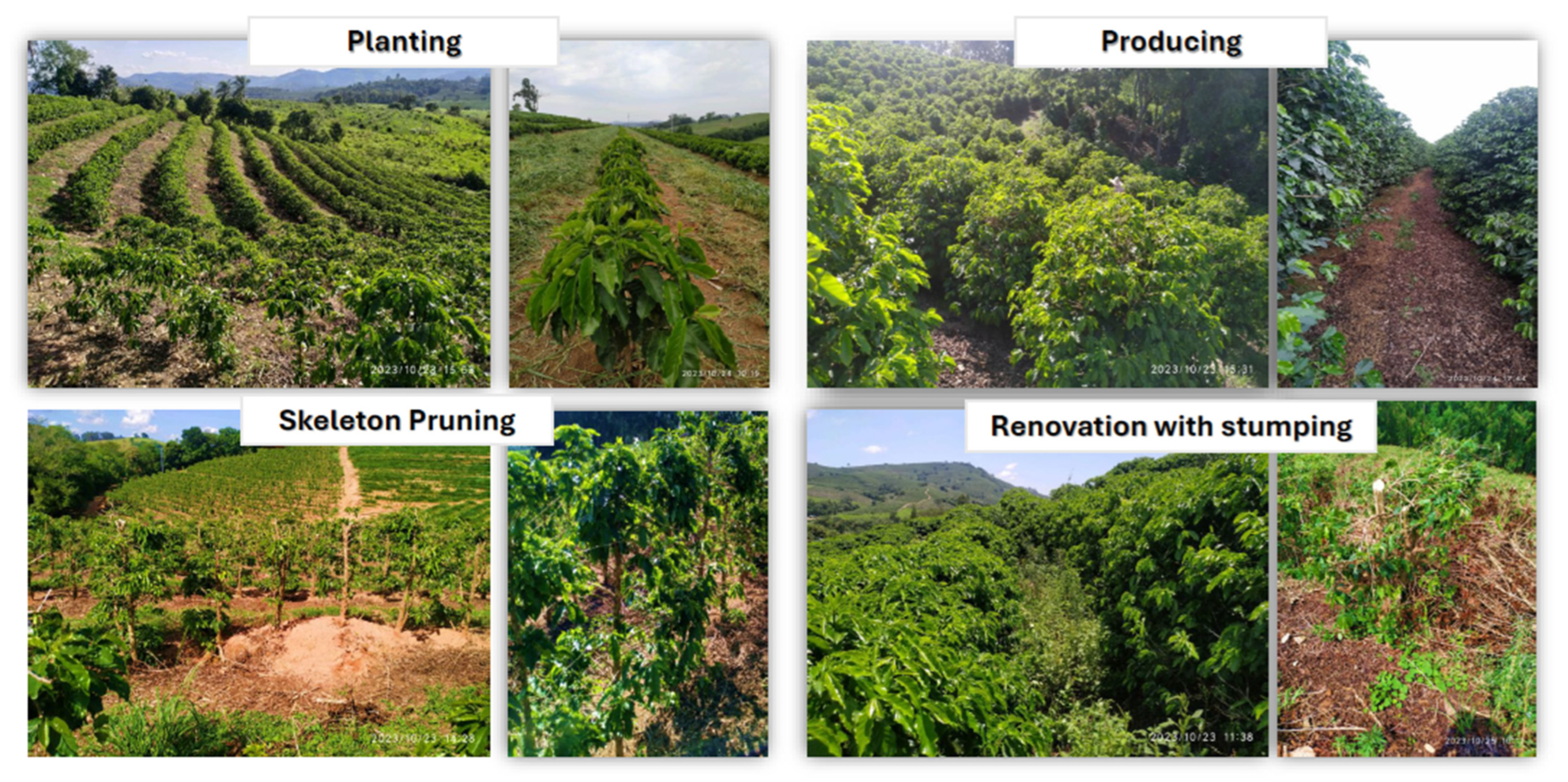 Remotesensing 17 03168 g003