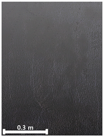 Remotesensing 17 03173 i015 Remotesensing 17 03173 i015