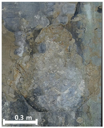 Remotesensing 17 03173 i031 Remotesensing 17 03173 i031