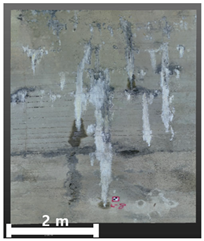 Remotesensing 17 03173 i106 Remotesensing 17 03173 i106