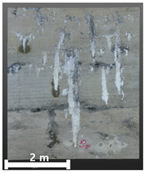 Remotesensing 17 03173 i109 Remotesensing 17 03173 i109