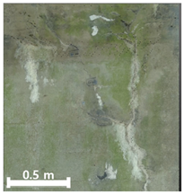 Remotesensing 17 03173 i128 Remotesensing 17 03173 i128