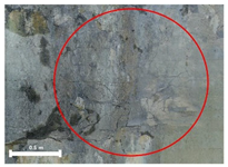 Remotesensing 17 03173 i204 Remotesensing 17 03173 i204