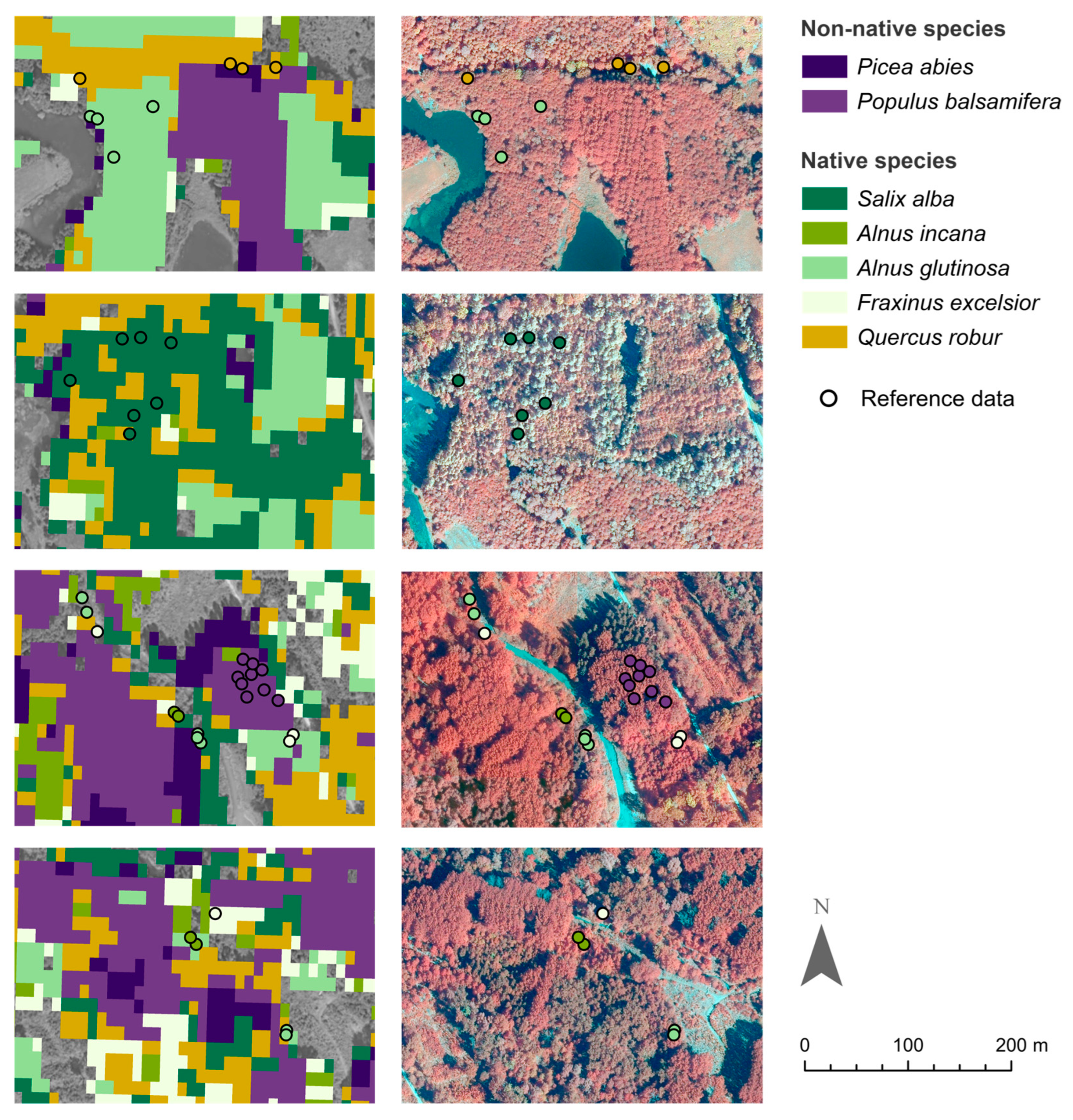 Remotesensing 17 03194 g005
