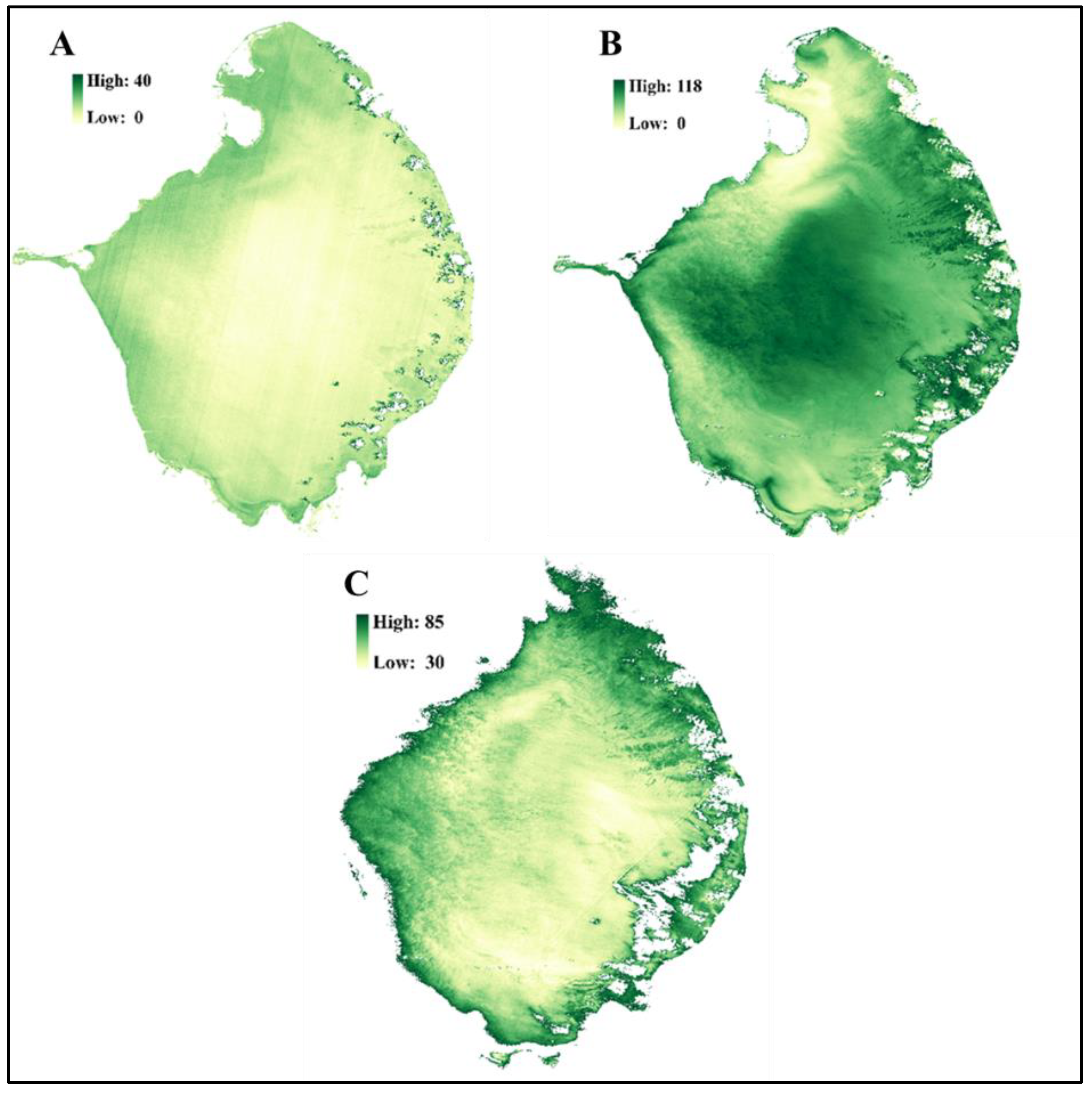 Remotesensing 17 03197 g003