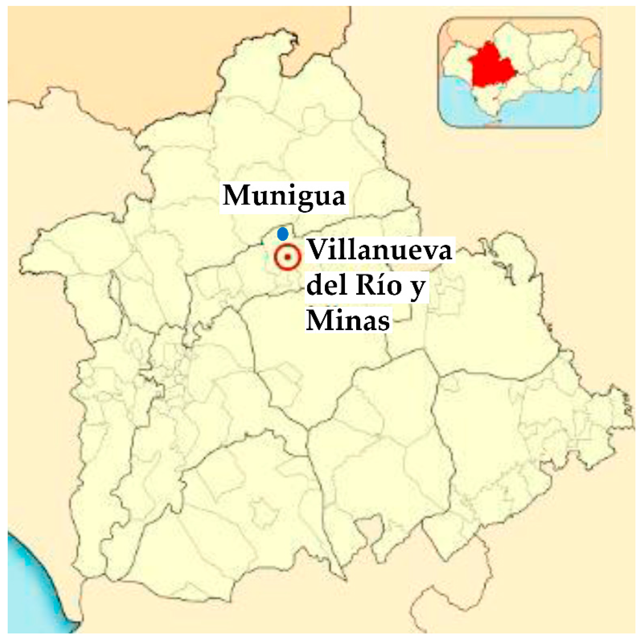 Remotesensing 17 03224 g001