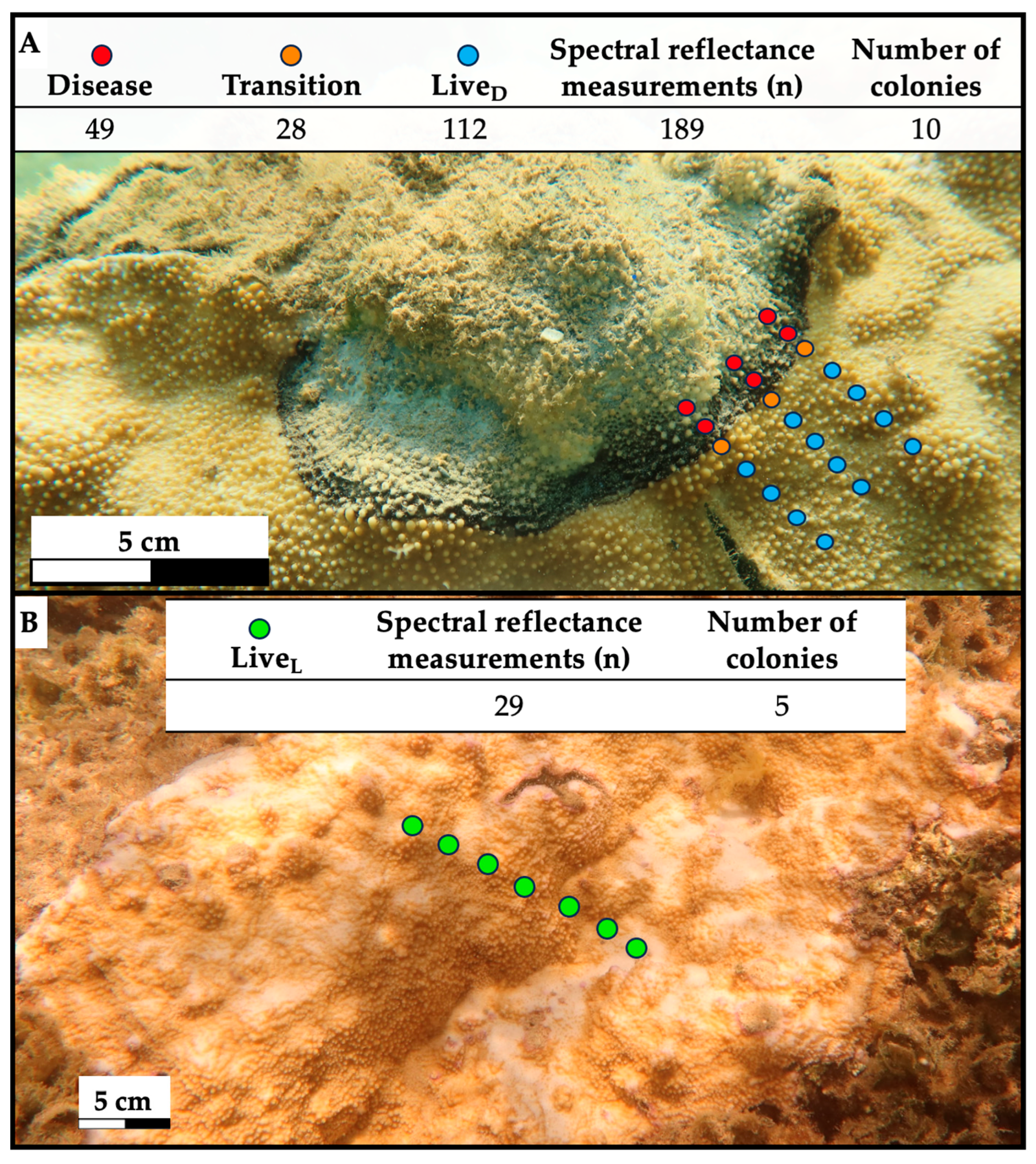 Remotesensing 17 03241 g002 Remotesensing 17 03241 g002