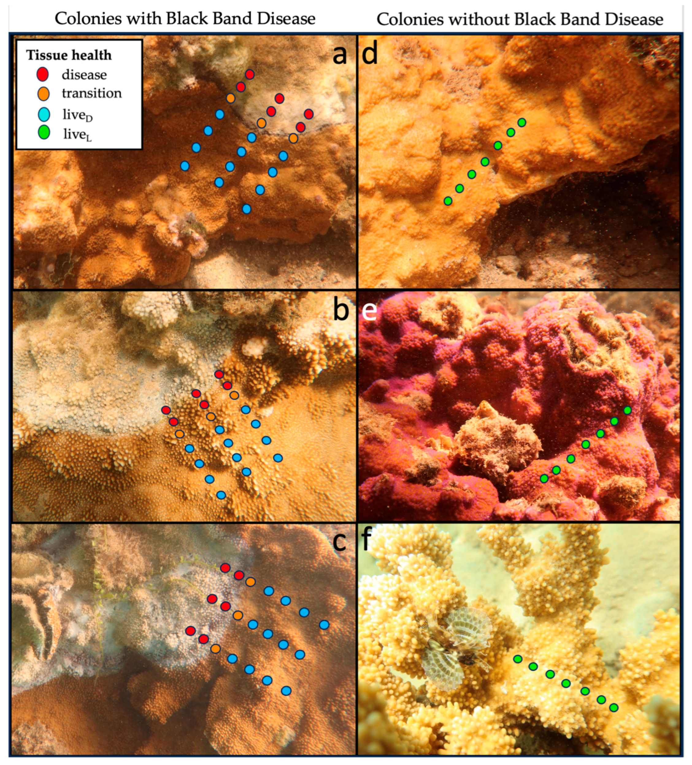 Remotesensing 17 03241 g0a1 Remotesensing 17 03241 g0a1