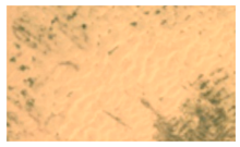 Remotesensing 17 03244 i001 Remotesensing 17 03244 i001